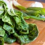 Cooking Bok Choy: Delicious and Healthy Dishes That You Can Make