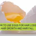 Benefits of Egg for Hair