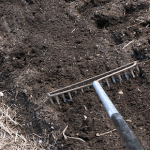 Techniques of Soil Modification for Re-use in Construction