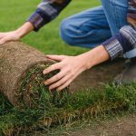Commercial Turf Application Is A Growing Industry